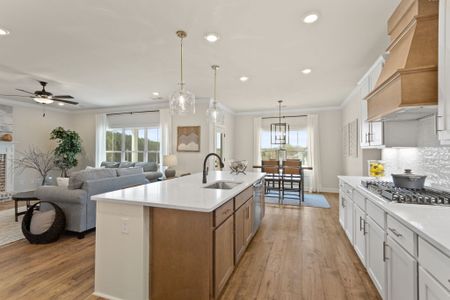 Cherokee Knoll by Reliant Homes in Williamston - image 6
