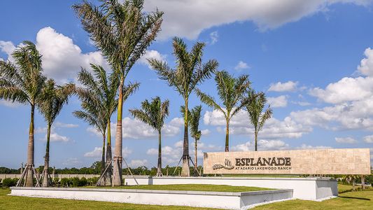 Esplanade at Azario Lakewood Ranch by Taylor Morrison in Lakewood Ranch - photo 7 7