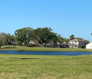 Tea Olive Terrace at the Fairways by William Ryan Homes in Palmetto - photo 5 5