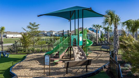 Waterset Townhomes by David Weekley Homes in Apollo Beach - image 14