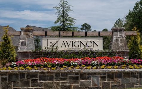 Avignon by Ashton Woods in Cumming - photo 0