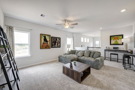 La Segarra by Smith Douglas Homes in Brookshire - image 8