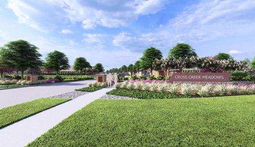 Cross Creek Meadows - Master planned community in Celina, TX 3 3