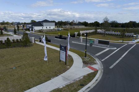 Ravencliffe by M/I Homes in Oviedo - photo 50 50