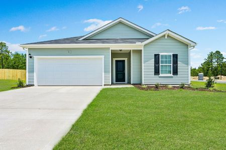 Sierra Village at Overhills by Dream Finders Homes in Spring Lake - image