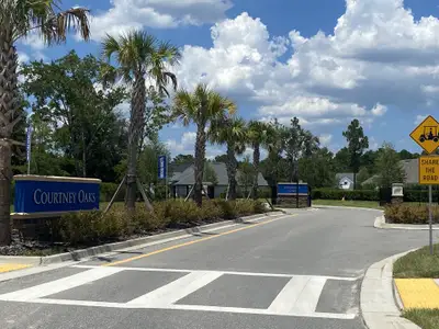 Courtney Oaks in SilverLeaf by Ashley Homes, LLC in St. Augustine - image