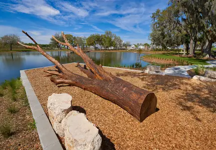 Oakland Park - Garden Series by David Weekley Homes in Winter Garden - photo 17 17