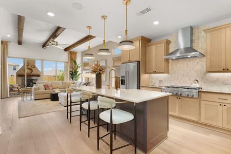 Nolte Farms by Sitterle Homes in Seguin - photo 17 17