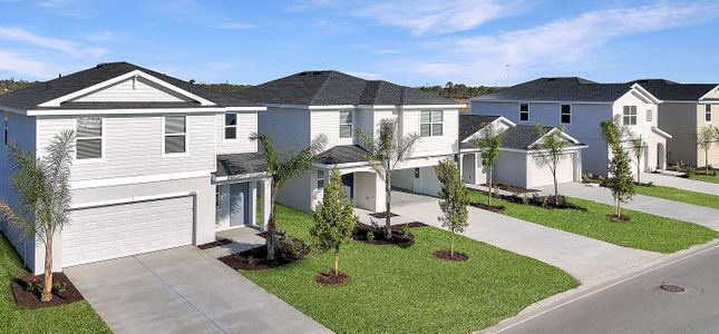 Willow by Lennar in Punta Gorda - image