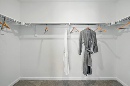 Parterre Horizon Collection 22