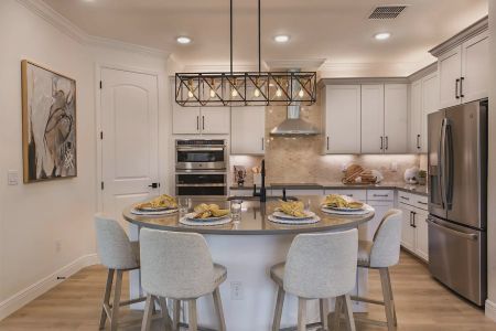 Rose Haven by Vitale Homes in New Port Richey - photo 16 16