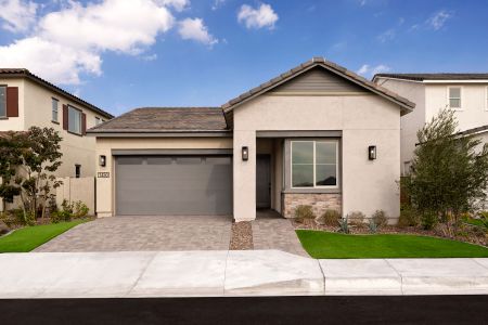 Brambling at Waterston Central 1