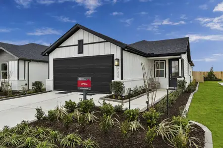 Mason Woods 40s by Taylor Morrison in Cypress - image