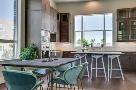 Trinity Bluff by InTown Homes in Dallas - photo 42 42