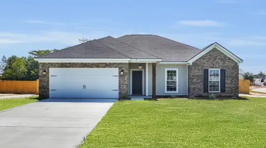 Doctor's Creek by RTS Homes in Ludowici - image