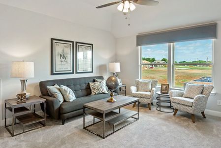 Triple Diamond Ranch by Bloomfield Homes in Mansfield - photo 7 7