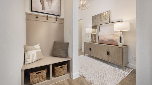 Juniper Springs 50' 16