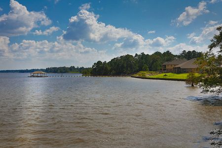 Lakewood Pines Preserve by KB Home in Houston - photo 11 11