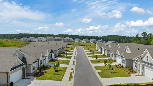 Hamptons at Riverwood North by D.R. Horton in Dallas - image