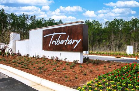 Tributary - Master planned community in Yulee, FL 0 0