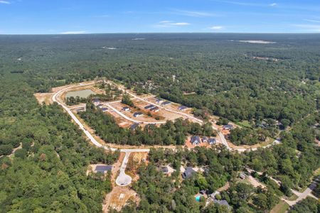 Timber Hollow: Heritage Collection by Beazer Homes in Magnolia - image 12