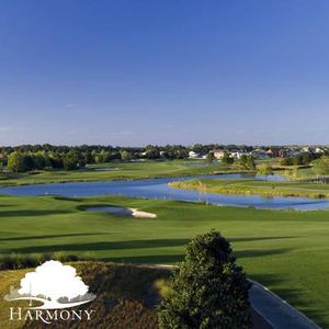 Harmony Isle Townhomes by Hartizen Homes in St. Cloud - photo 45 45