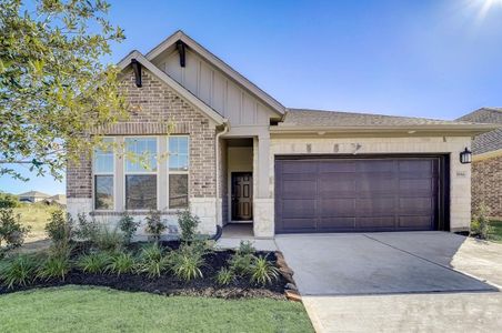 Meridiana 45' Homesites by David Weekley Homes in Manvel - photo 26 26