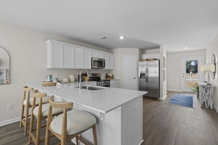 Sibley Village by McGuinn Homes in Sumter - image 9