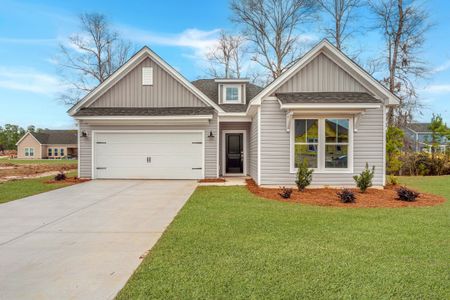 Timothy Lakes by Center Park Homes in Ridgeville - photo 10 10