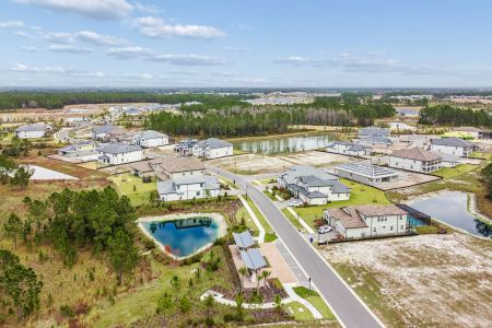 Shortgrass at Two Rivers by M/I Homes in Zephyrhills - image 12