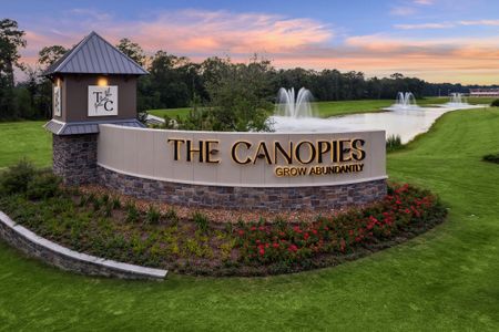 The Canopies by Smith Douglas Homes in Splendora - photo 0