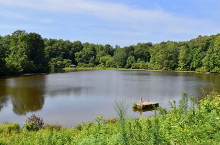 Northlake by Adams Homes in Statesville - photo 6 6