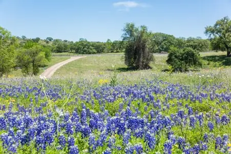 Spring Ridge by Home Creations in Willis - image