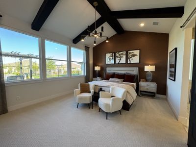 Santa Rita Ranch by Scott Felder Homes in Liberty Hill - photo 32 32