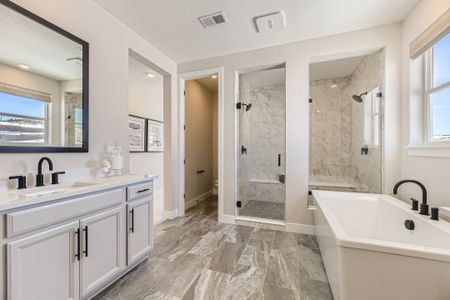 Trailstone Destination Collection by Taylor Morrison in Arvada - photo 55 55