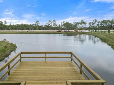 The Preserve at Concourse Crossing by Century Communities in Fernandina Beach - photo 14 14