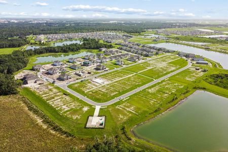 Hawthorne Ranch by M/I Homes in Lakeland - image 16