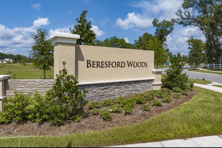 Beresford Woods by Landsea Homes in Deland - photo 1 1