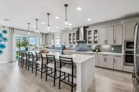 Connerton by M/I Homes in Land O' Lakes - image 7