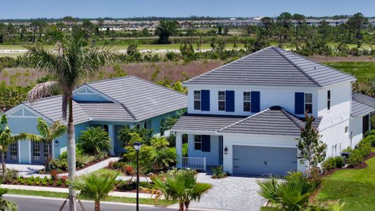Palmera by Neal Communities in Venice - image 7