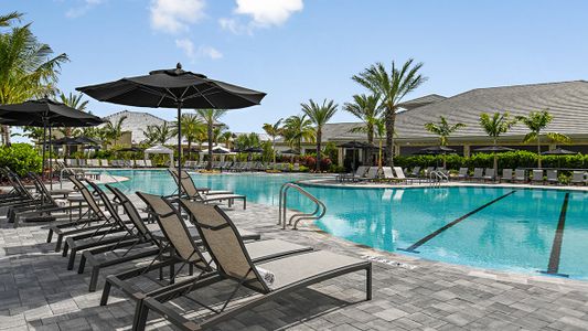 Esplanade at Azario Lakewood Ranch by Taylor Morrison in Lakewood Ranch - image 18