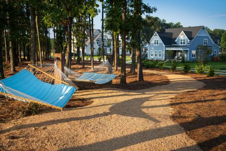 Serenity Executive by Drees Custom Homes in Fuquay Varina - image 15