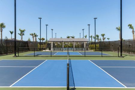 Palmera Wellen Park - Classic Series by David Weekley Homes in Venice - image 11