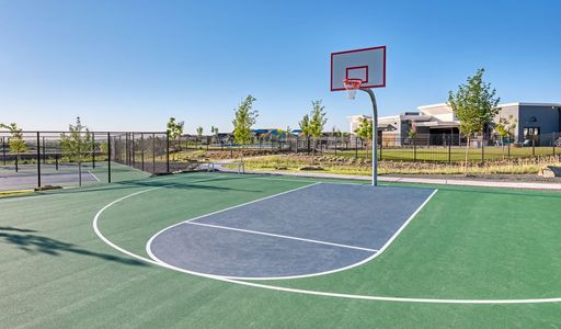 Barefoot Lakes by Richmond American Homes in Longmont - photo 4 4