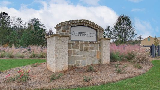 Copperfield by DRB Homes in Locust Grove - photo 4 4