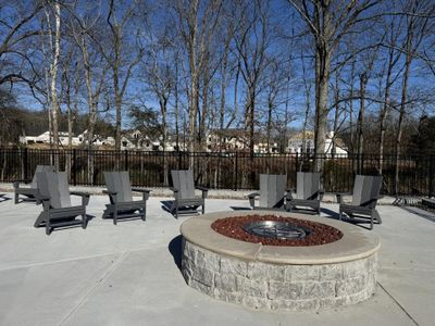 High Park Hill - 85' by Drees Custom Homes in Arrington - image