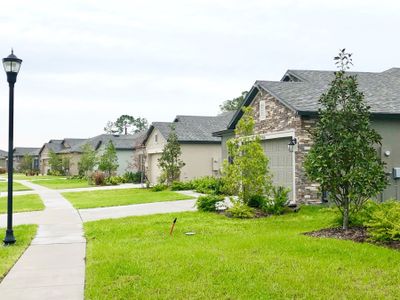 Hilltop Point by M/I Homes in Dade City - photo 18 18