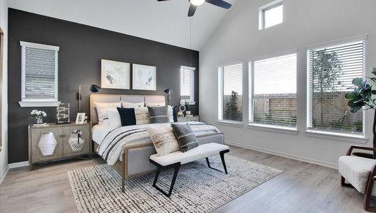 Canterra Creek  60' by Tricoast Homes in Iowa Colony - image 8