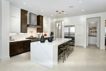 Rough Hollow Vista Ridge by Drees Custom Homes in Lakeway - photo 17 17
