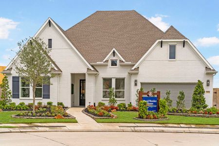 Jordan Ranch 70' Homesites by David Weekley Homes in Katy - photo 44 44